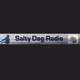 Celtic Radio - SaltyDog Radio Logo
