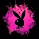 Paradise_Music Logo