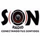Radio Son de Costa Rica Logo