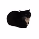Maxwell Cat Radio Logo