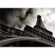 ABC French Rap Logo