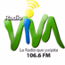 Radio Viva 106.6 FM Logo