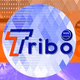 Web Rádio Tribo Logo