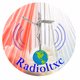 Divine Mercy Vietnamese Radio Logo