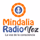 Mindalia Radio Voz Estados Unidos logo