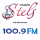 Стелс Logo