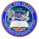 Radio Vida Celestial Logo