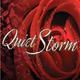 All Webradio Group - All Quiet Storm Logo