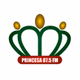 Rádio Princesa Logo