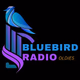 Bluebird Radio - Oldies Logo