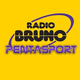 Pentasport Logo