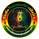 Radio Jamaica Brasileira™ Logo