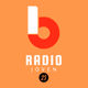 Radio Joven Mendoza Logo