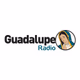 Guadalupe Radio FM 87.7 - KSFV Logo