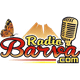 Radio Barva Logo