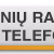 Žiniu Radijas Logo