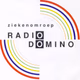 Radio Domino Logo