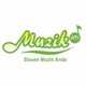 RTM - MuzikFM Logo