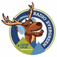Radio Evergreen Logo