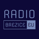 Radio Brežice Eu Logo