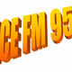 ViceFM Logo