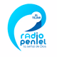 Radio Peniel El Tejar Logo