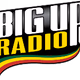 BigUpRadio - Roots Logo