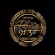 91.3 The Plug Radio Logo