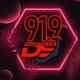 Radio Del Sur 91.9 Logo