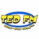 Ted FM - KRVX-HD2 logo