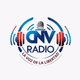 Cnv Radio - CnvR Digital Stereo Logo