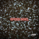 Speed Radio - Speed Noel Logo