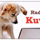 Radio Kuva Logo