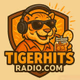 Tiger Hits Radio - W255DP Logo