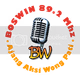 Boswin Radio Logo