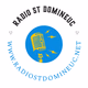 Radio ST Domineuc Logo