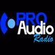 Pro Audio - Back In Times Logo