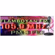 Radio Flamboyan FM Bengkulu Logo
