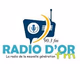 Radio D'or Fm Miragoane Logo