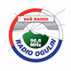 Radio Ogulin 96.6 Logo
