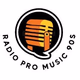 Radio Pro Music 90s Logo