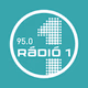 FM95 Rádió 1 Debrecen Logo