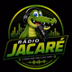 Rádio Jacaré!!! Logo