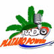 Radio Platano Power Logo