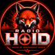 Radio Hoid Logo