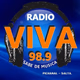 Radio Viva Pichanal Logo