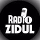 Radio Zidul Logo