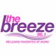 96.1 The Breeze - WMSX Logo