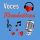 Voces Románticas logo