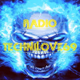 Radio technilove69 Logo